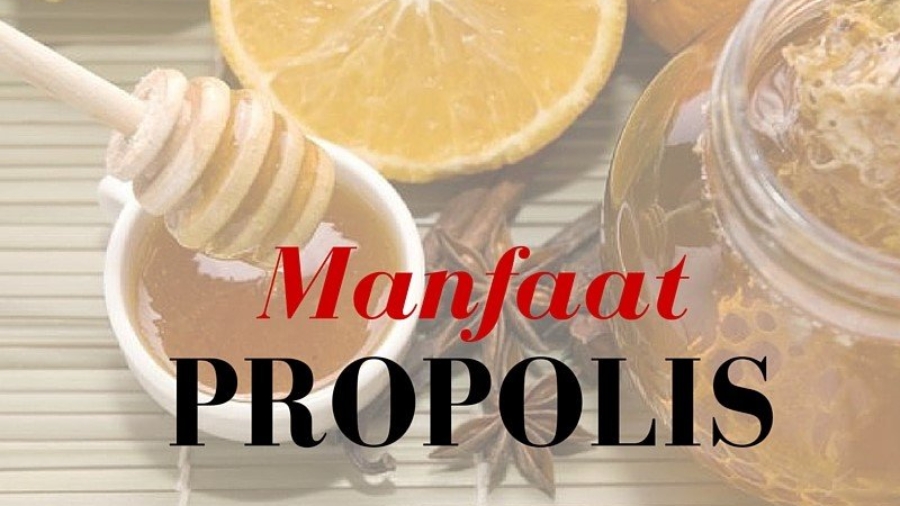 Madu-propolis-02.jpg