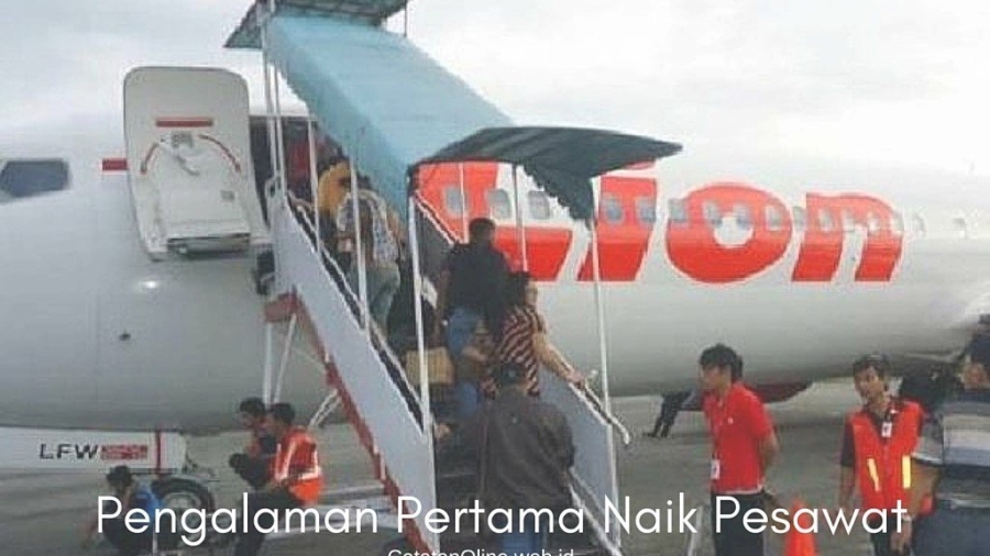 Pengalaman%2BPertama%2BNaik%2BPesawat.jpg