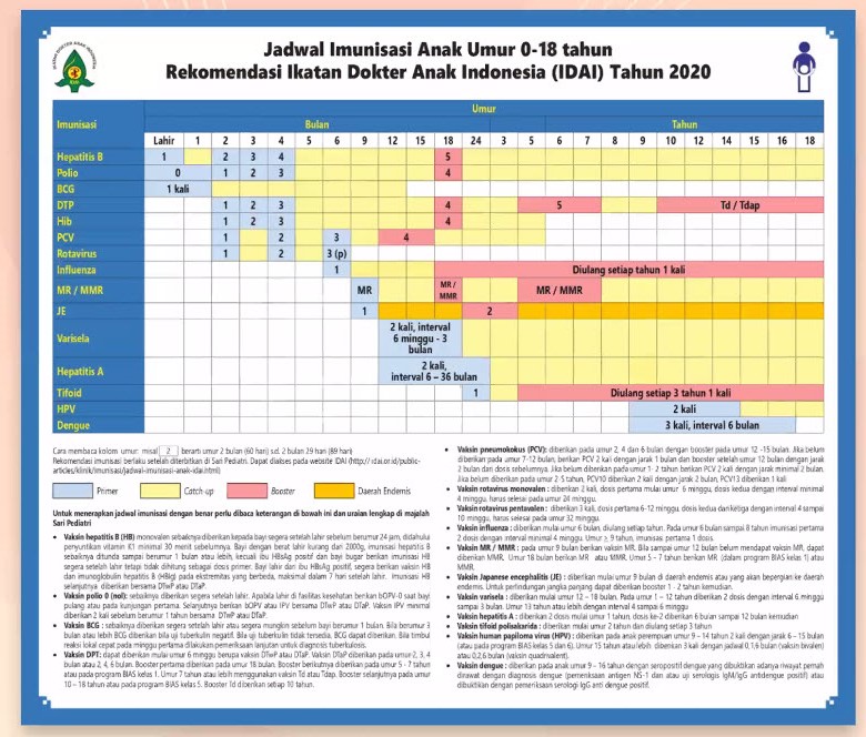 Jadwal Imunisasi Anak